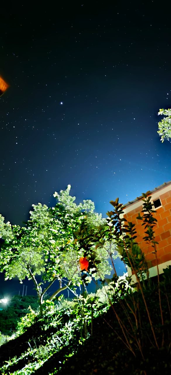 Cielo lleno de estrellas sobre el glamping en la noche