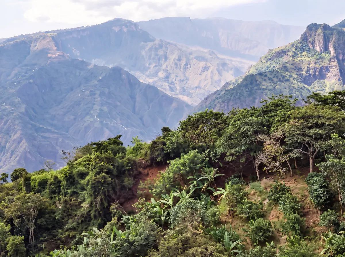 Vista del Cañón del Chicamocha desde Aratoca